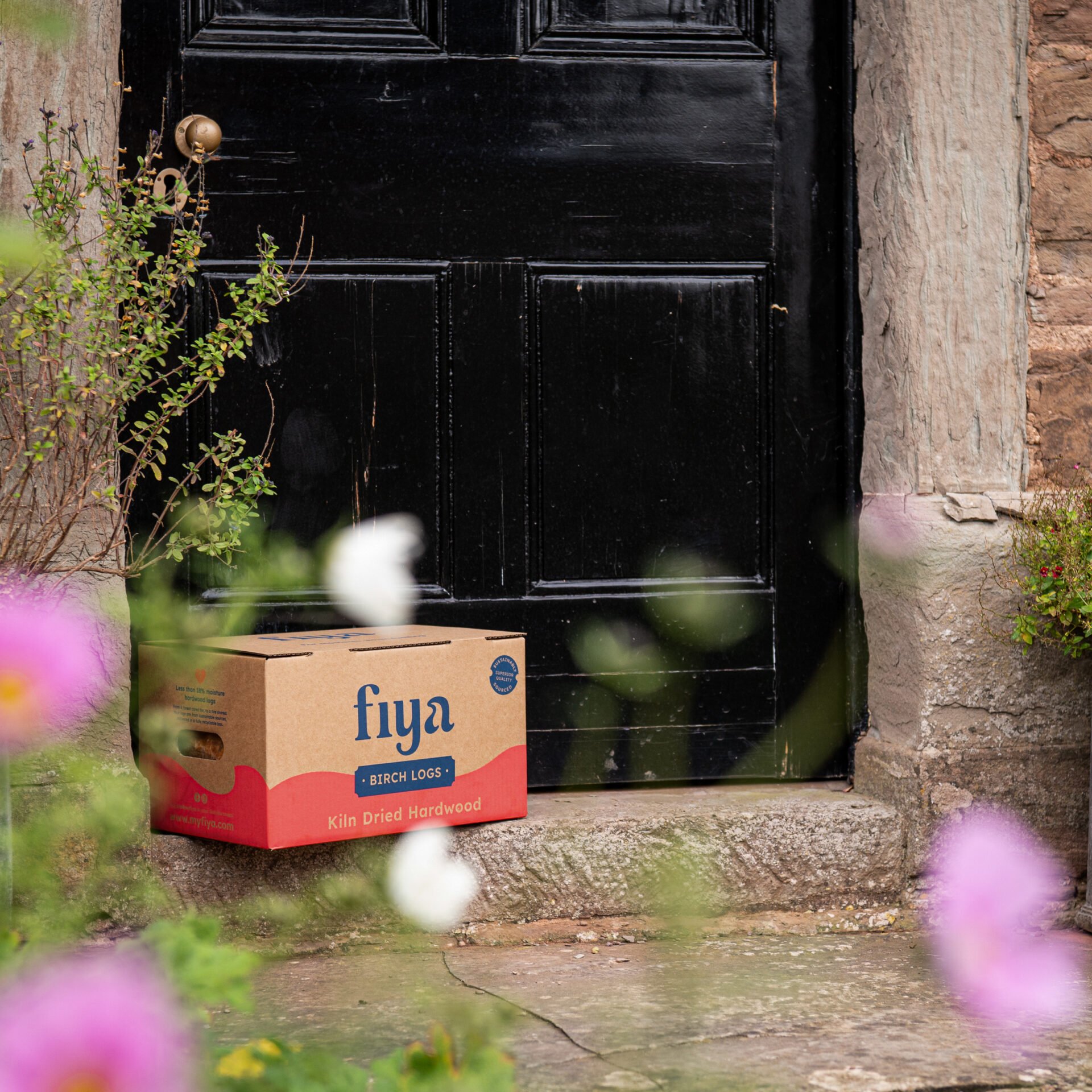 Kiln Dried Birch Logs Box - Image 3