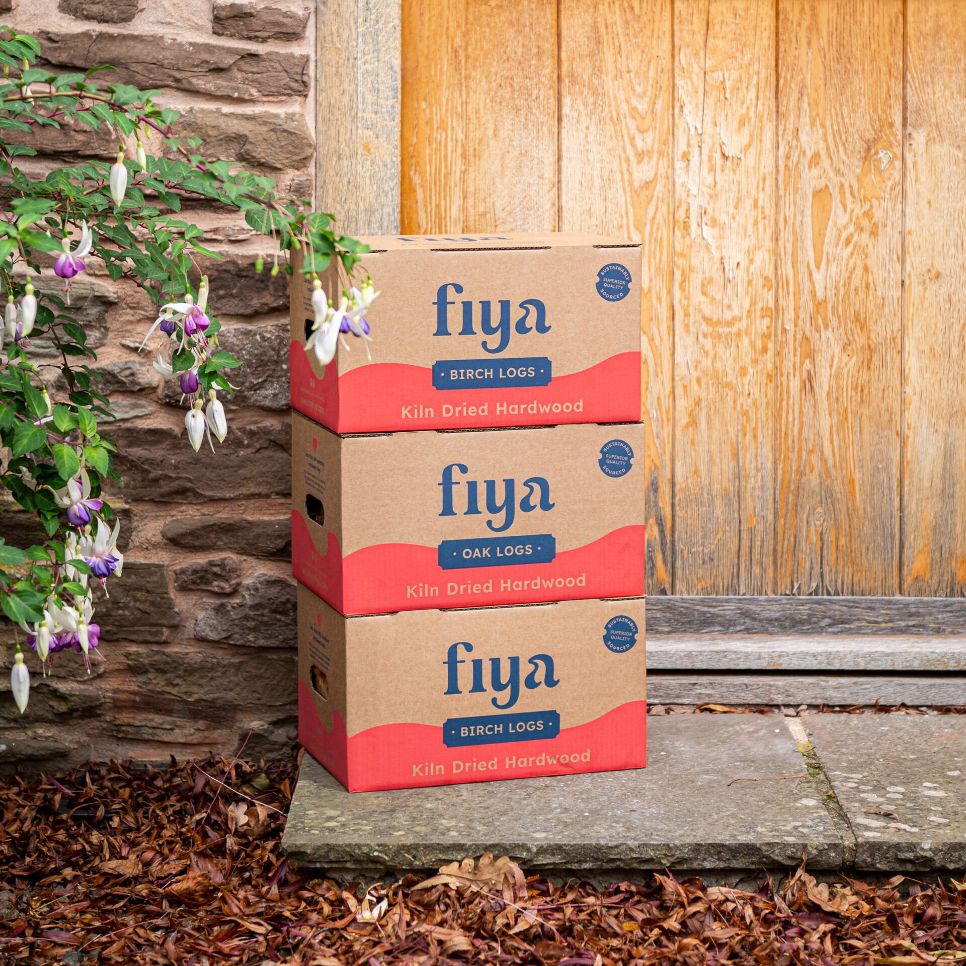 Kiln Dried Birch Logs Box - Image 5