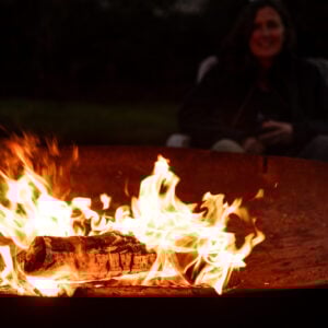 Kiln Dried Logs - Birch - Image 8