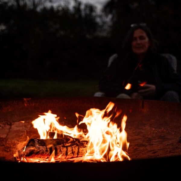 Kiln Dried Birch Logs Box - Image 6