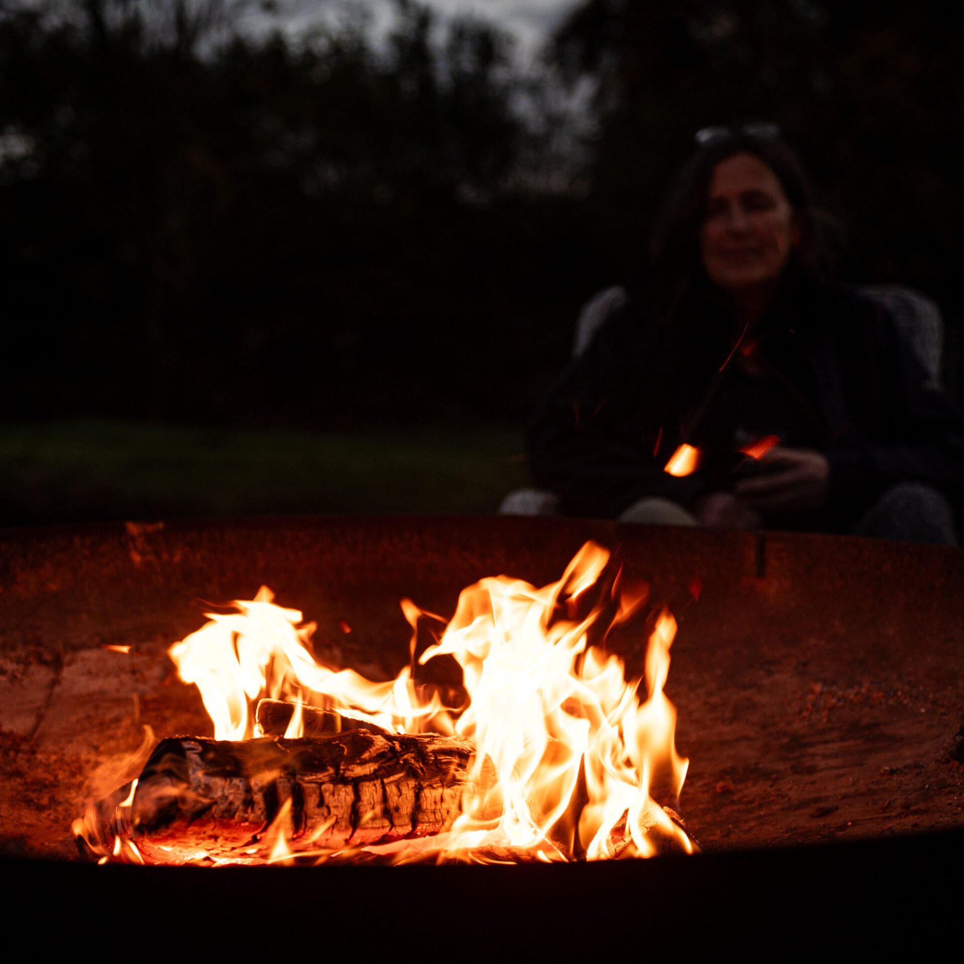 Kiln Dried Birch Logs Box - Image 6