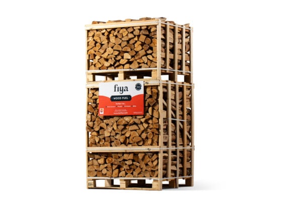 Kiln Dried Logs - Birch - Image 4