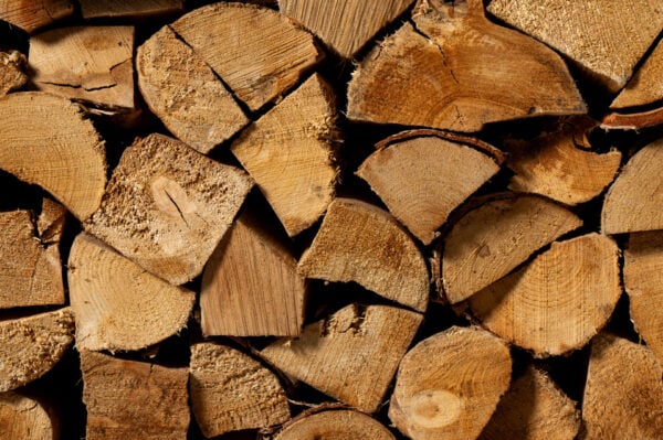 Kiln Dried Logs - Birch - Image 5