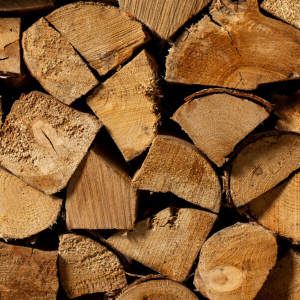 Kiln Dried Birch Logs Box - Image 2