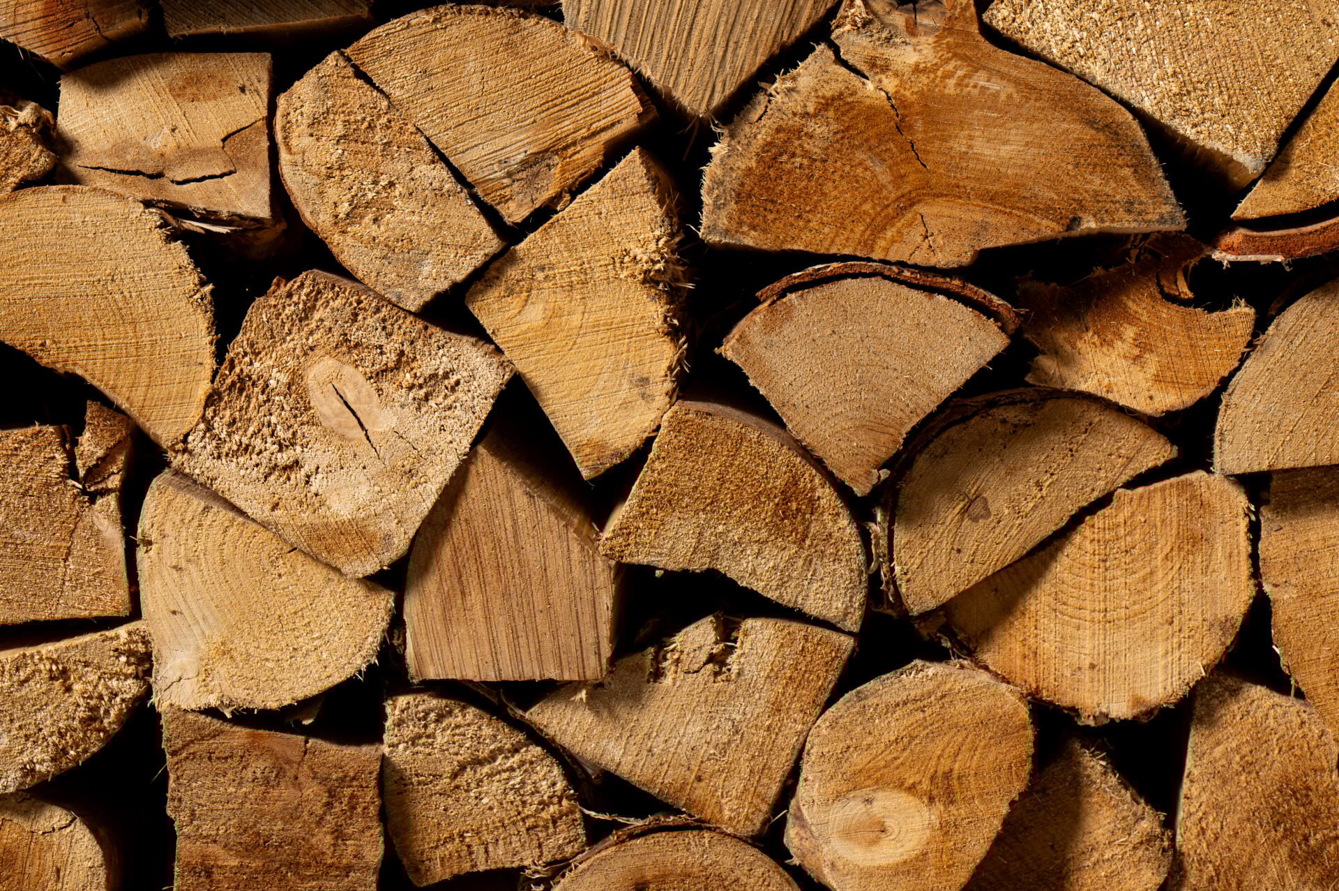 Kiln Dried Logs - Birch - Image 5