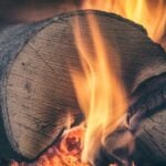 How to Choose the Right Firewood