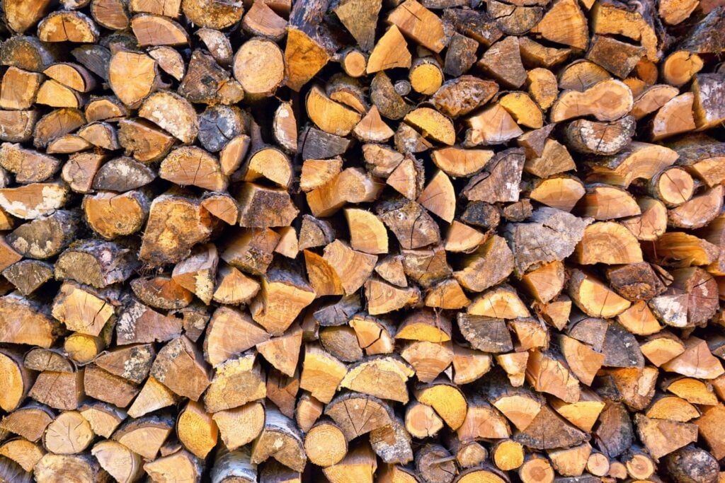 Pile of firewood